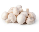 Funghi Champignon a domicilio