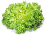 Insalata riccia la collina