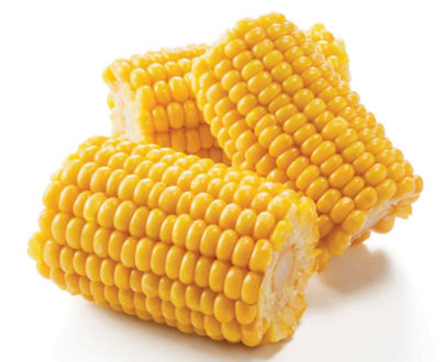 Pannocchie precotte la collina