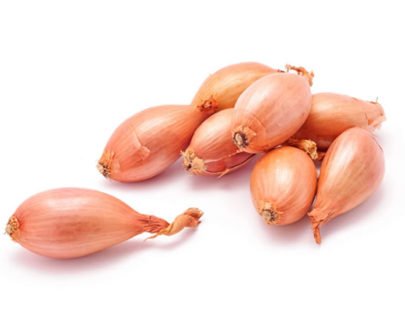 Scalogno rete LaCollina