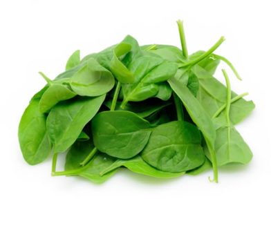 Spinacino vaschetta lacollina